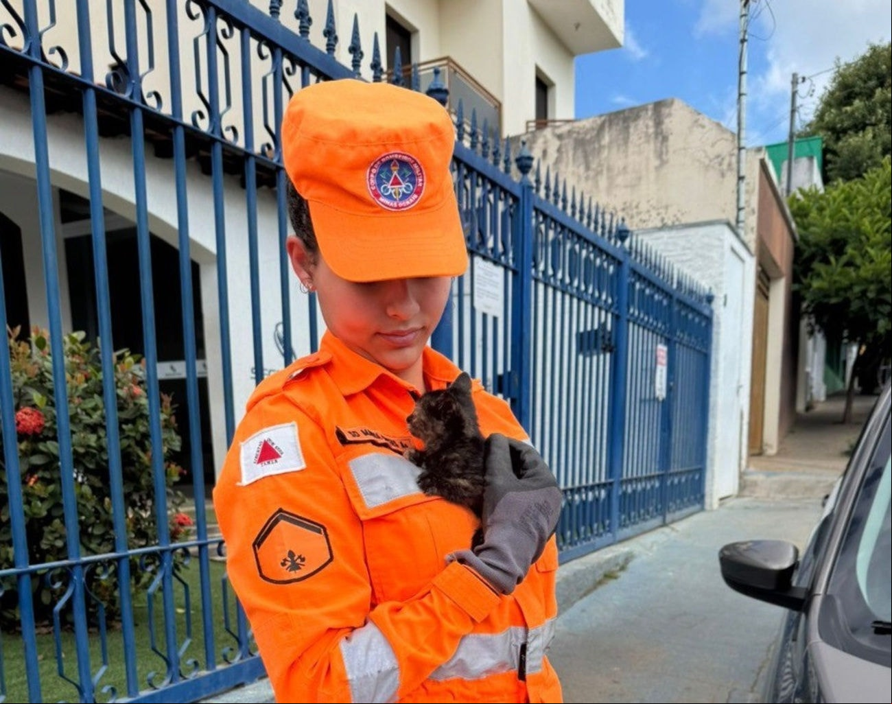 Gatinho foi resgatado pelos bombeiros sem ferimentos