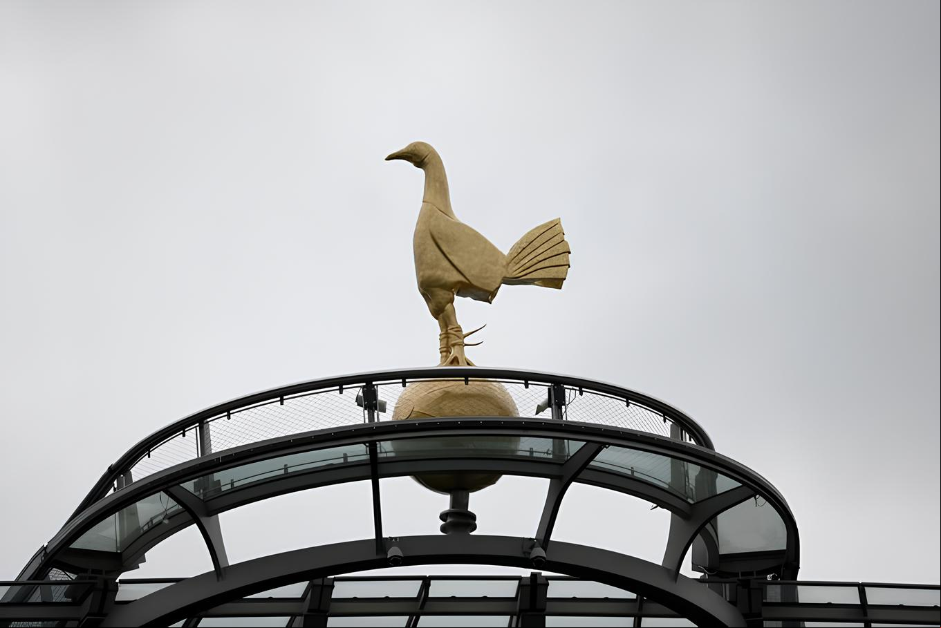 Galo está no alto do estádio do Tottenham