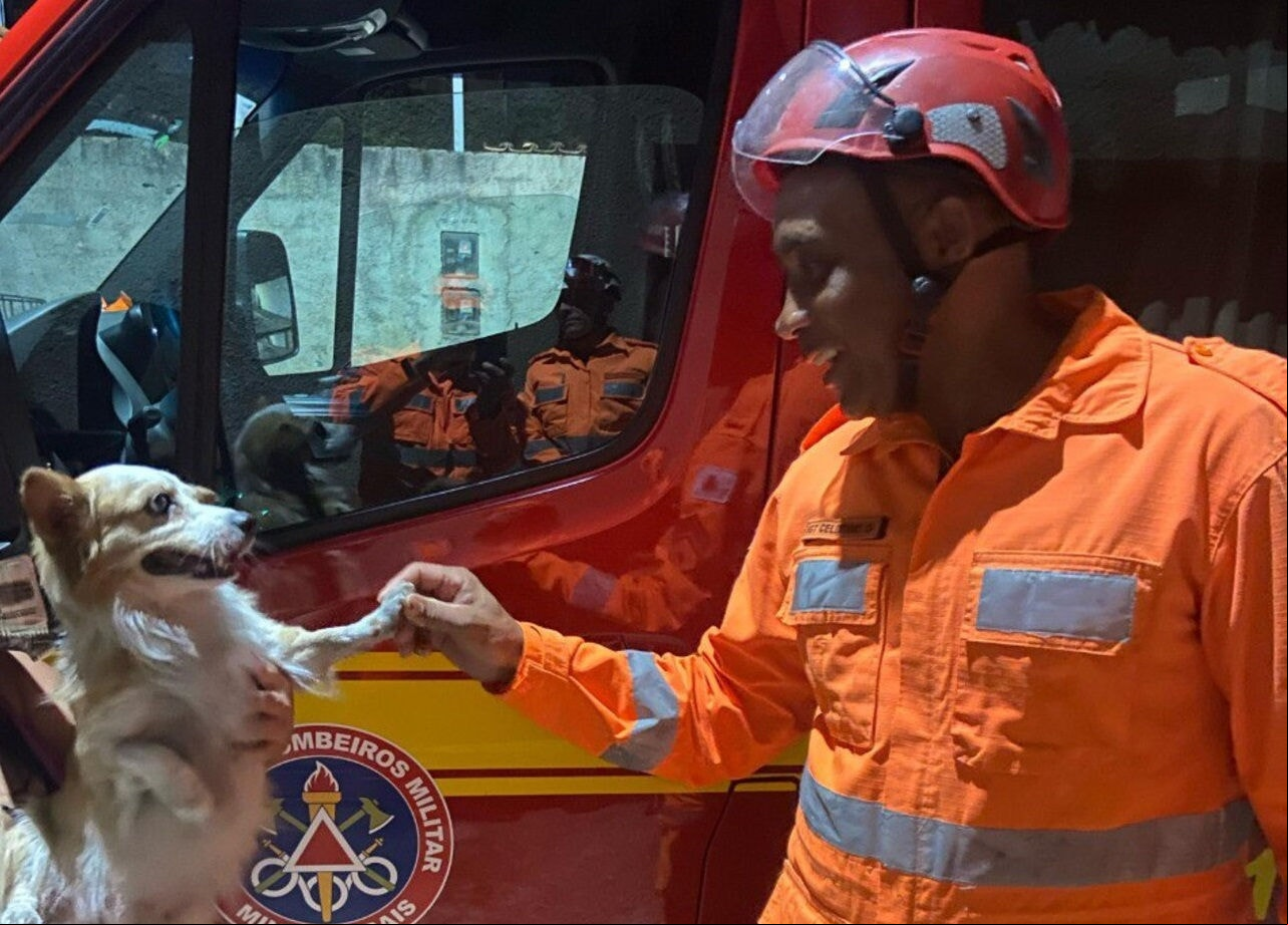 Encontro foi promovido entre a equipe do Corpo de Bombeiros e o cãozinho