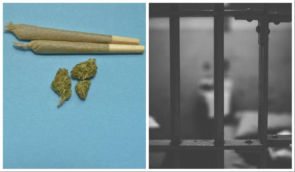 maconha x prisão Foto ilustrativa mostra cigarros de maconha e, ao lado, uma prisão